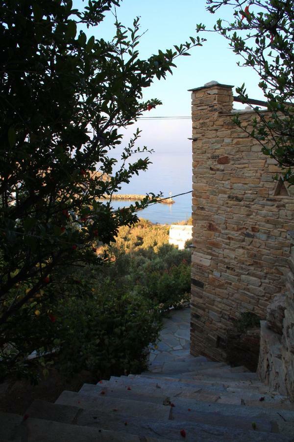 Cozy Guesthouse - Agios Romanos Ngoại thất bức ảnh